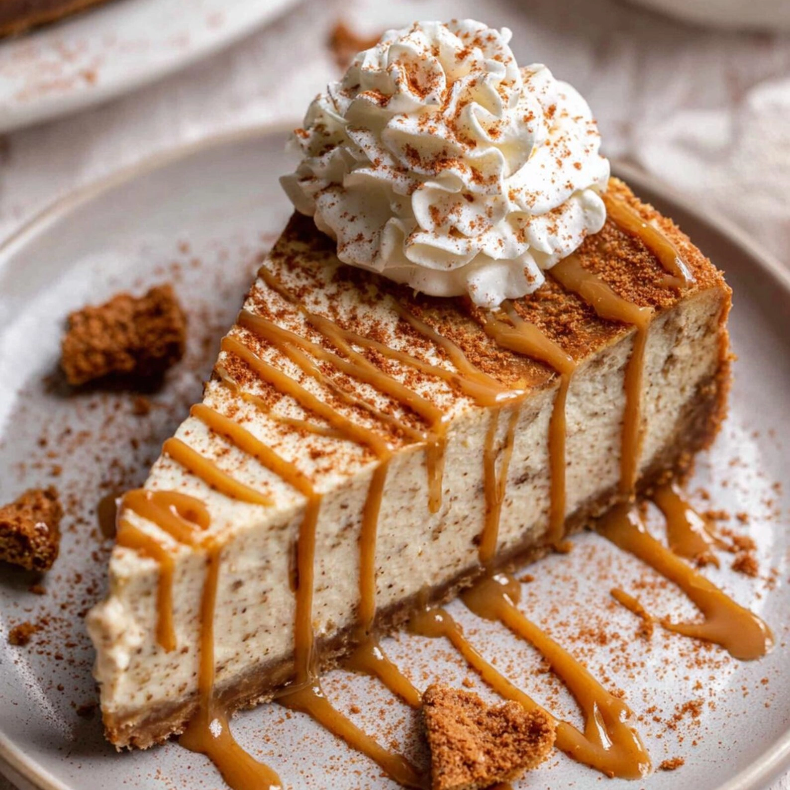 Snickerdoodle Biscoff Cheesecake